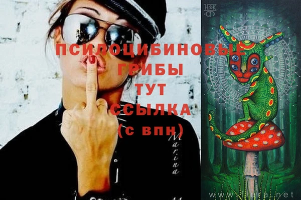 соль курить ск Алексин